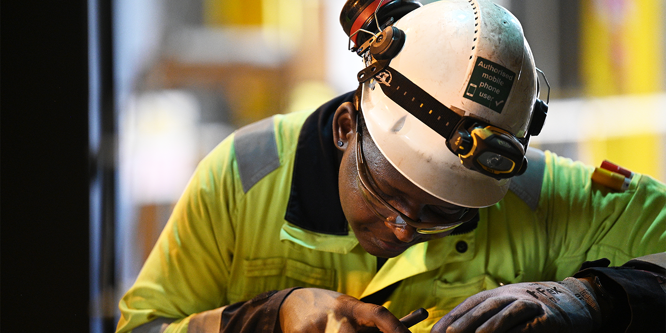 Rye House Site Carousel