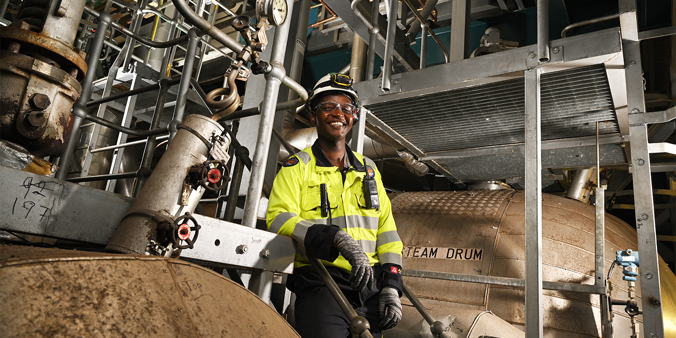 Shoreham Site Carousel